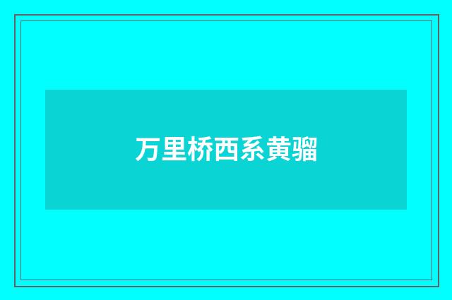 万里桥西系黄骝