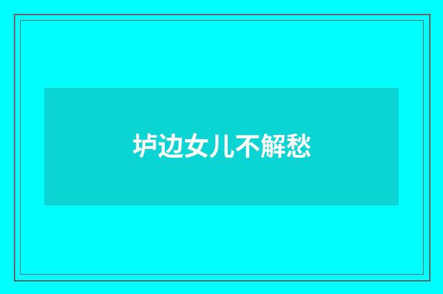 垆边女儿不解愁