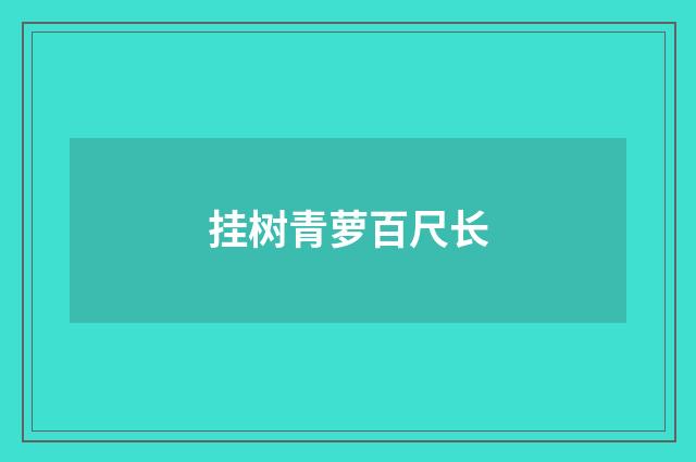挂树青萝百尺长