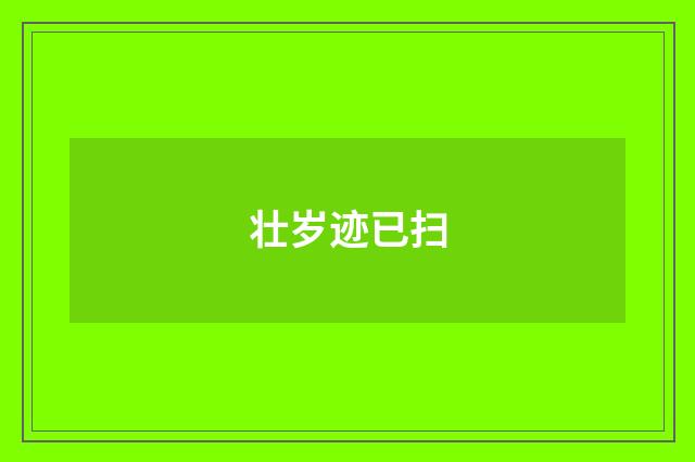 壮岁迹已扫