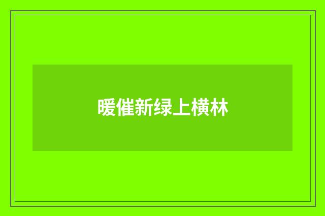 暖催新绿上横林