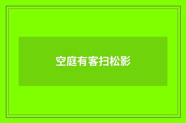 空庭有客扫松影