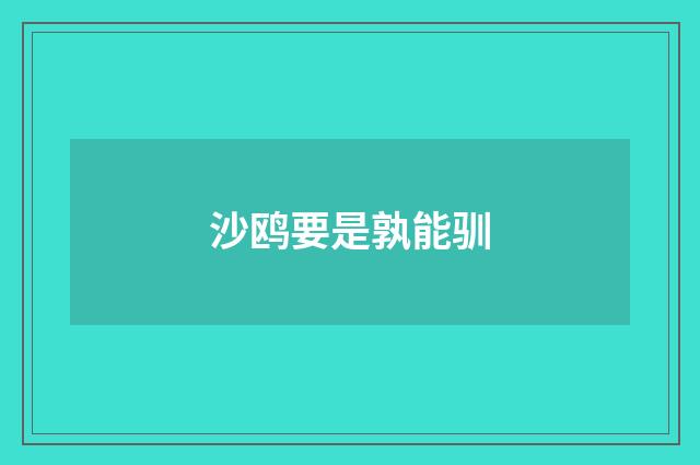沙鸥要是孰能驯
