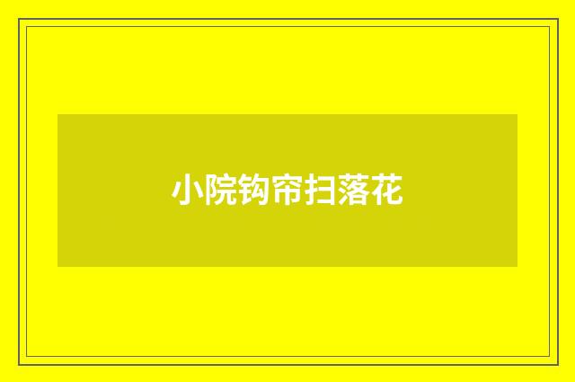 小院钩帘扫落花