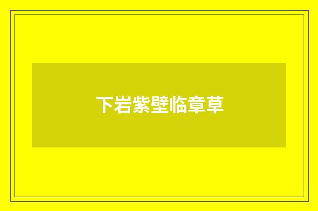 下岩紫壁临章草