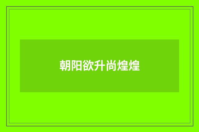 朝阳欲升尚煌煌
