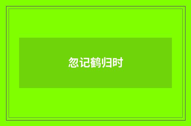 忽记鹤归时