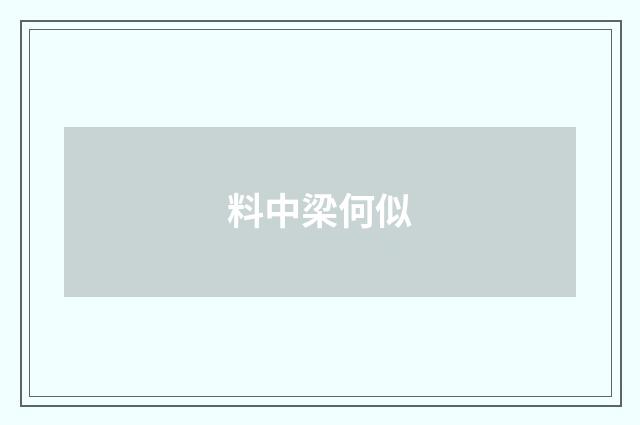 料中梁何似