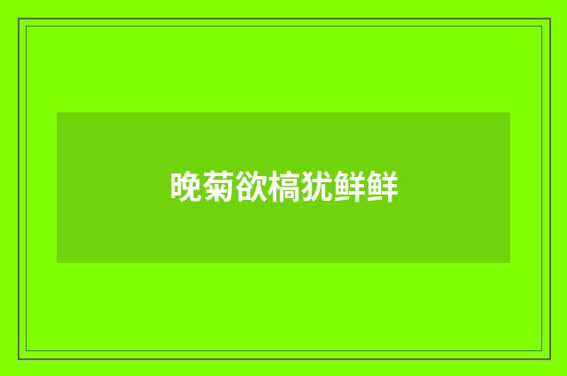 晚菊欲槁犹鲜鲜