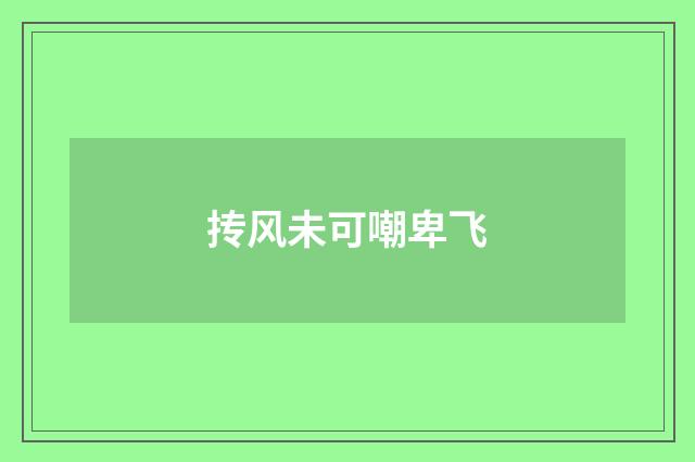 抟风未可嘲卑飞