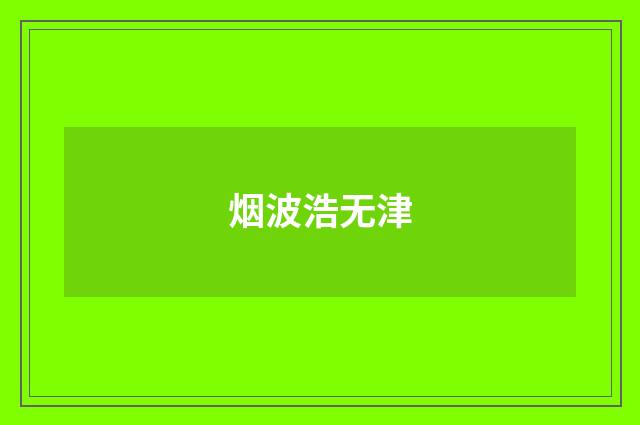 烟波浩无津