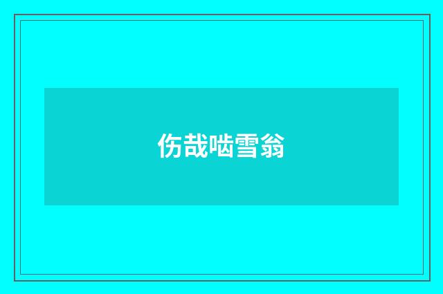伤哉啮雪翁