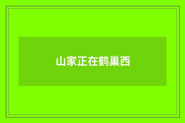 山家正在鹤巢西