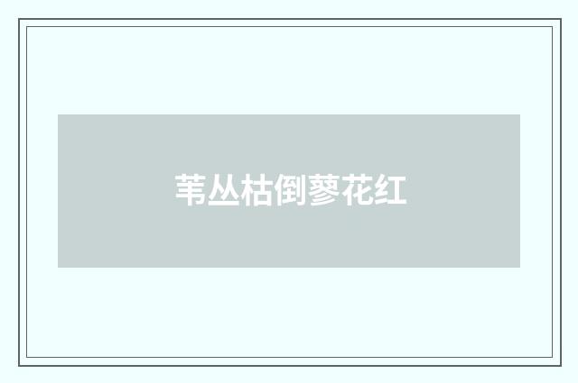 苇丛枯倒蓼花红
