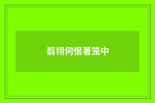 翦翎何恨著笼中