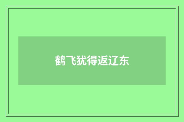 鹤飞犹得返辽东
