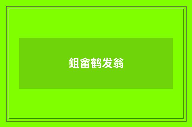 鉏畲鹤发翁