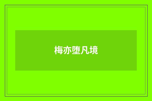 梅亦堕凡境