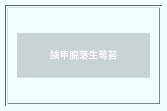 鳞甲脱落生莓苔