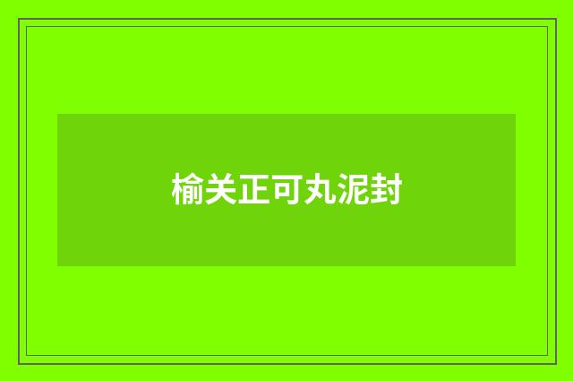 榆关正可丸泥封