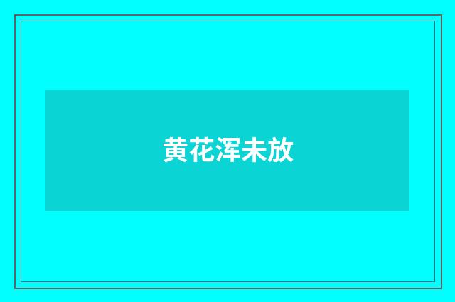 黄花浑未放