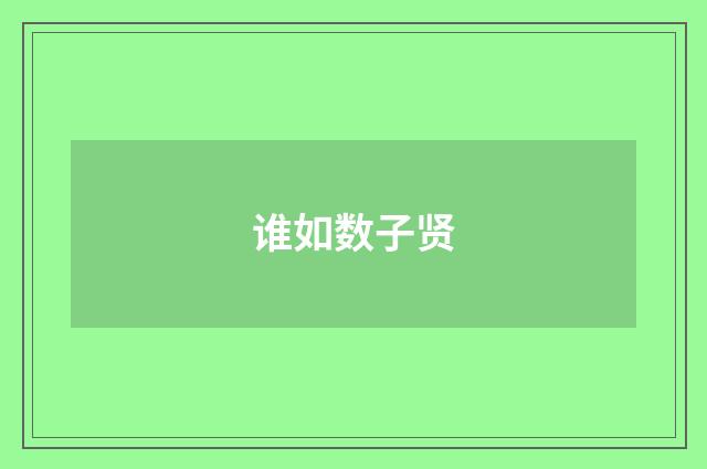 谁如数子贤