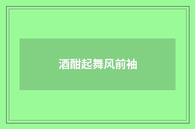 酒酣起舞风前袖