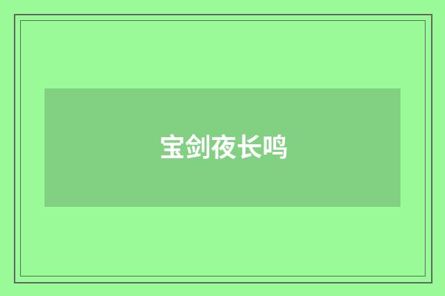 宝剑夜长鸣