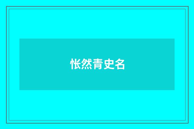 怅然青史名