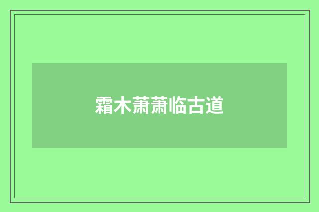 霜木萧萧临古道