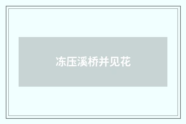 冻压溪桥并见花