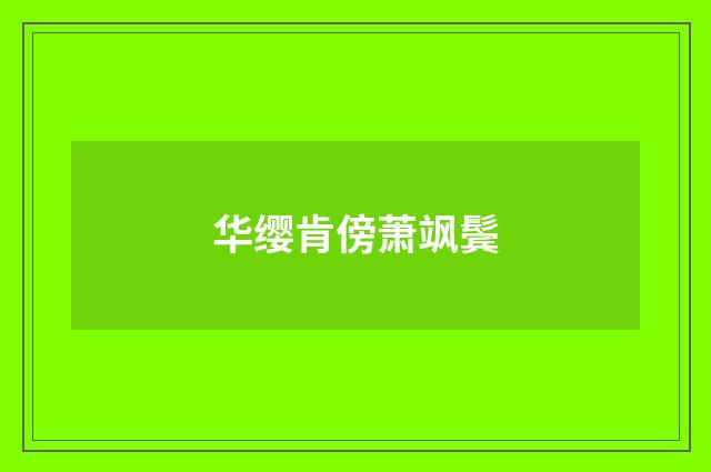 华缨肯傍萧飒鬓