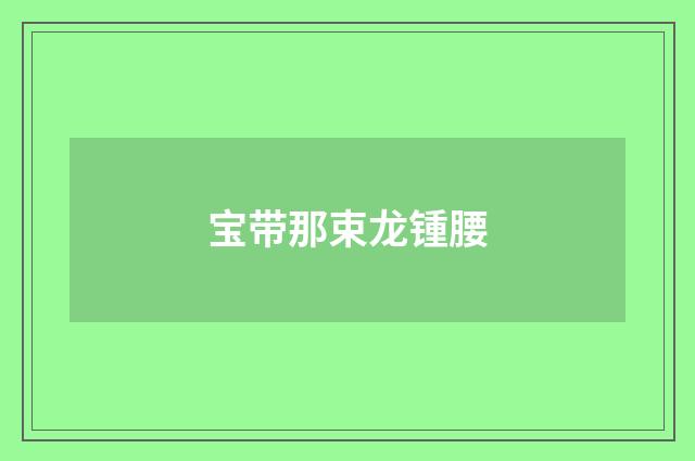 宝带那束龙锺腰