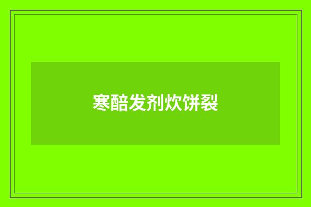 寒醅发剂炊饼裂