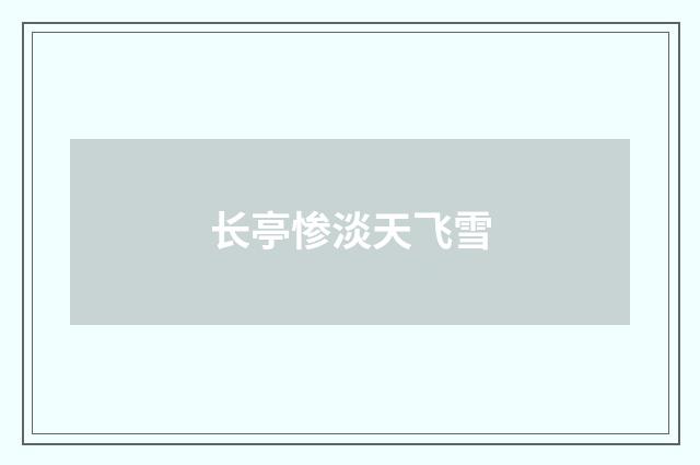 长亭惨淡天飞雪