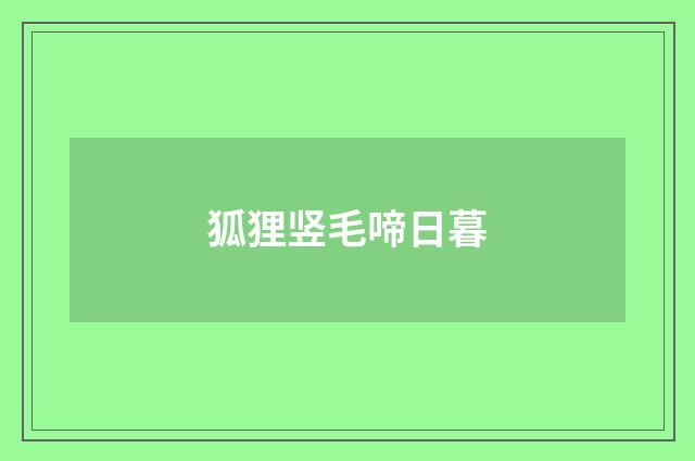 狐狸竖毛啼日暮