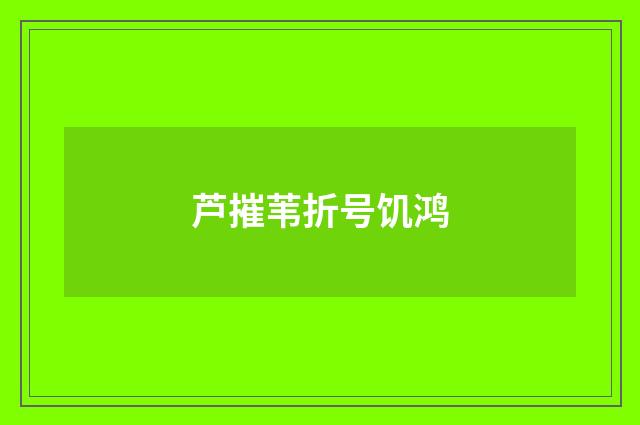 芦摧苇折号饥鸿