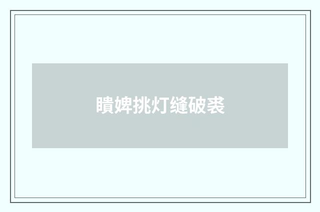 瞶婢挑灯缝破裘