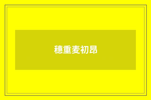 穗重麦初昂