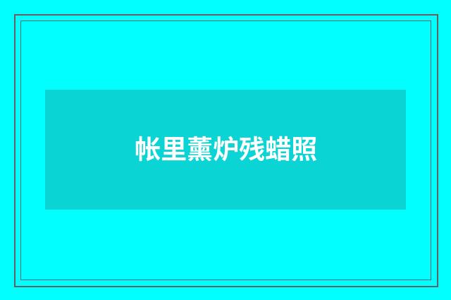 帐里薰炉残蜡照