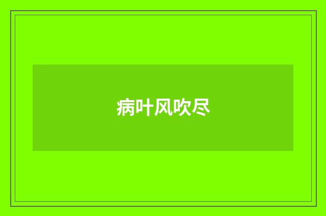 病叶风吹尽
