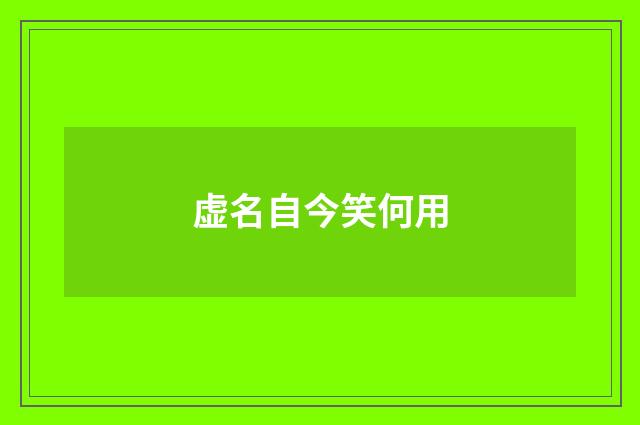 虚名自今笑何用
