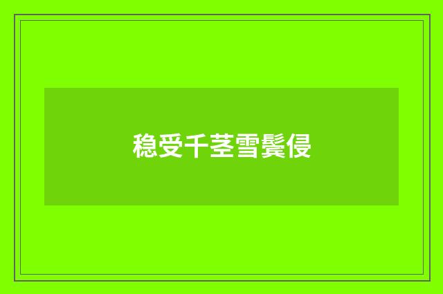 稳受千茎雪鬓侵