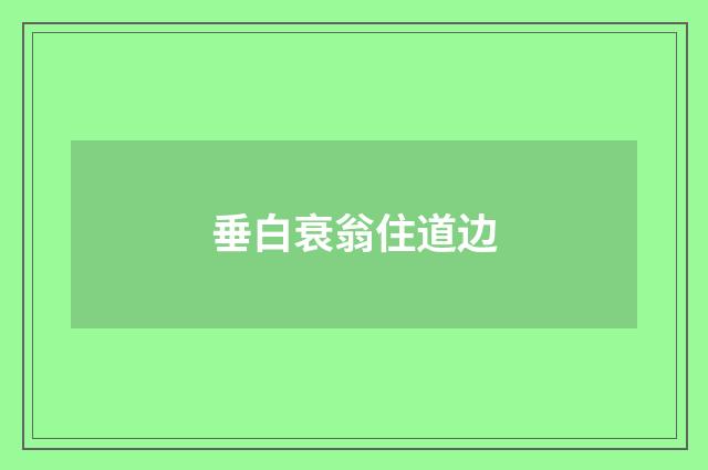 垂白衰翁住道边