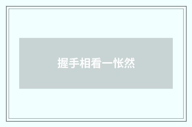 握手相看一怅然