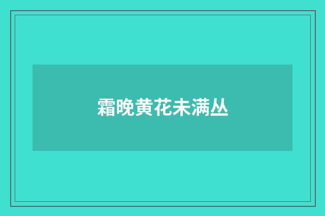 霜晚黄花未满丛