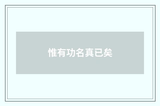 惟有功名真已矣