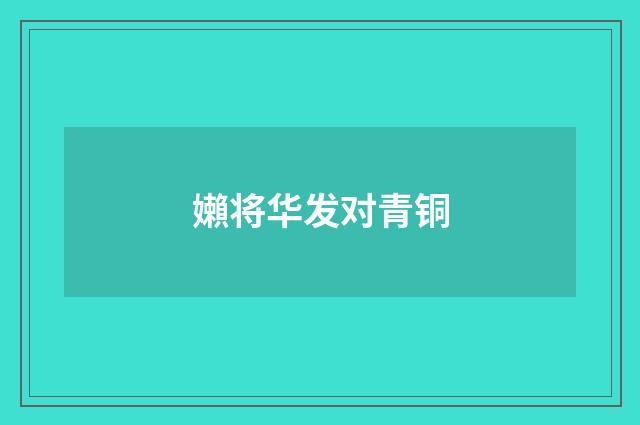 嬾将华发对青铜