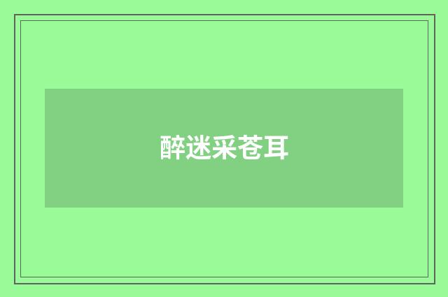 醉迷采苍耳