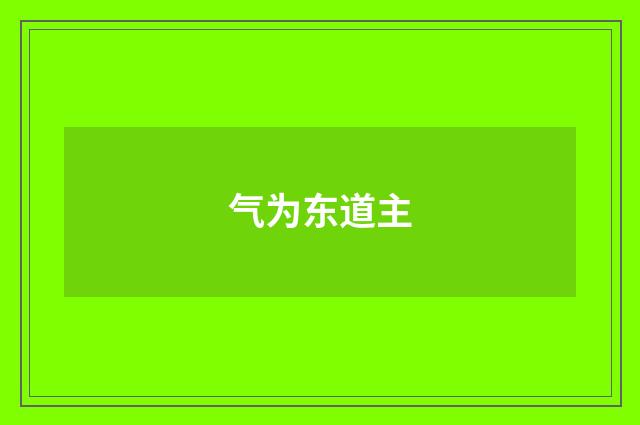 气为东道主